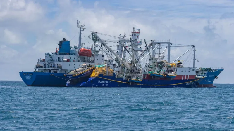 How climate change threatens the economic backbone of the Pacific