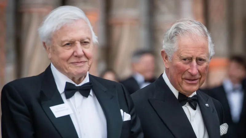 King and Queen lead tributes for David Attenborough’s 100th birthday